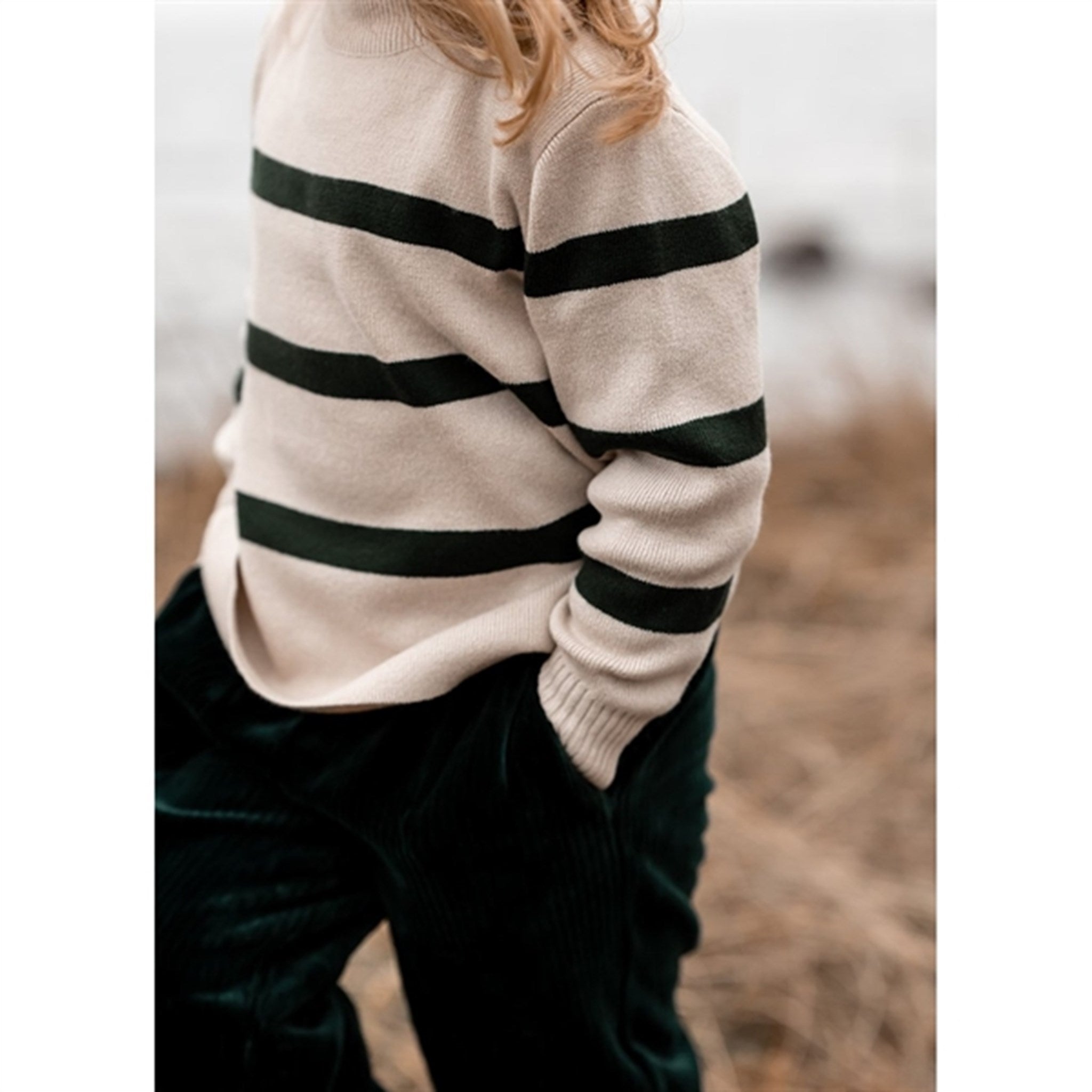 Fliink Sandshell/Pinegrove Stripe Pullover 4
