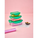 RICE Multicolor Food Boxes 3-pack