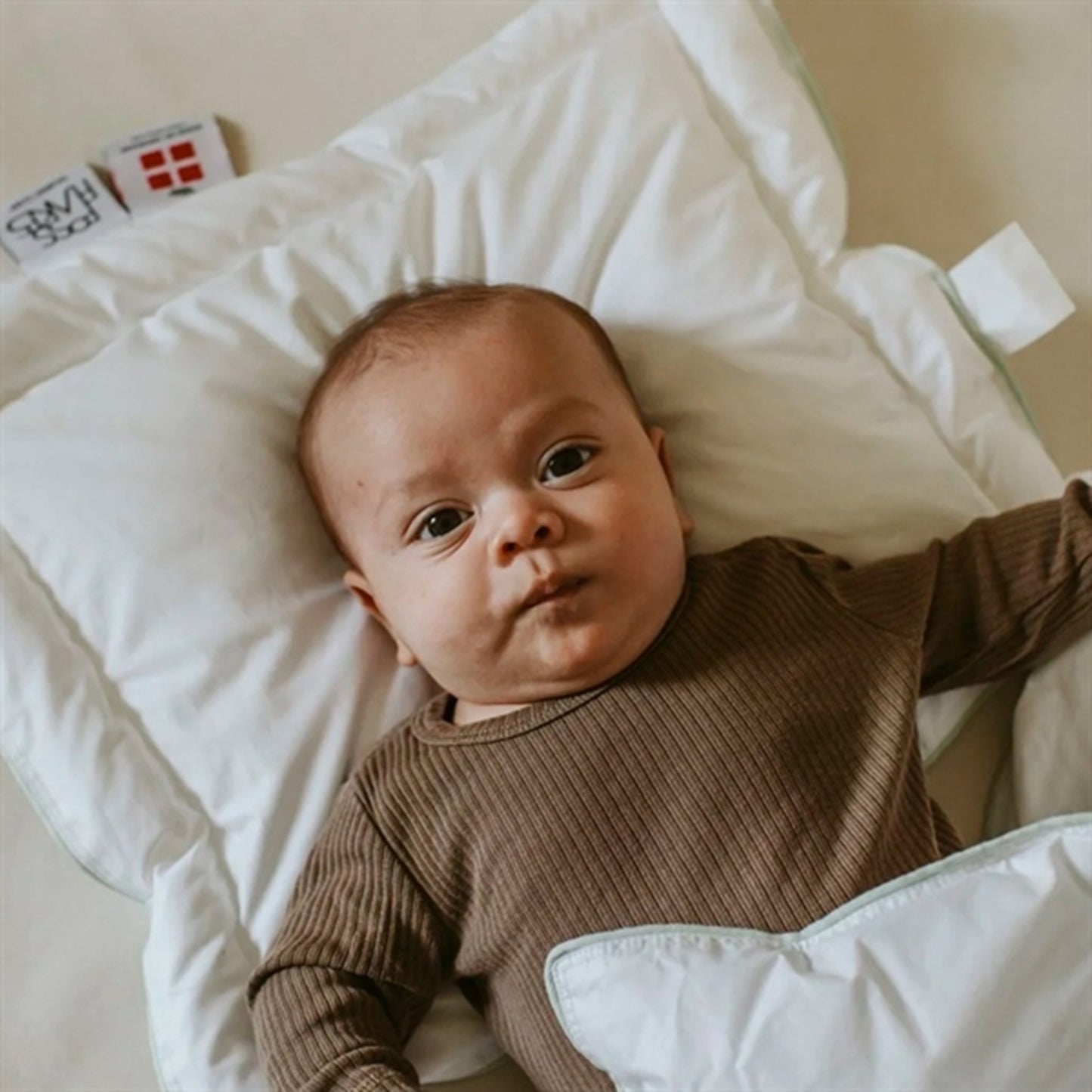 Fossflakes Baby Pillow & Duvet Set