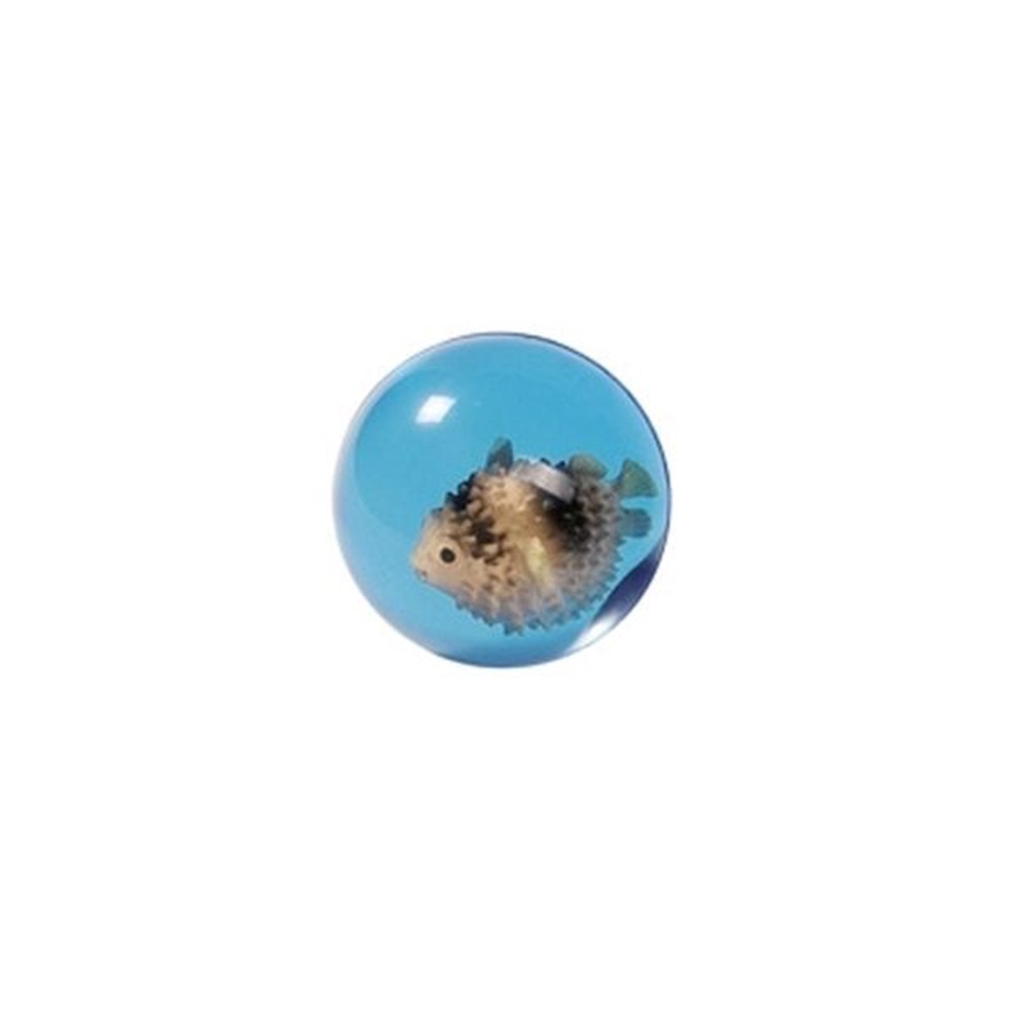 Goki Bouncing Ball 3D Blowfish