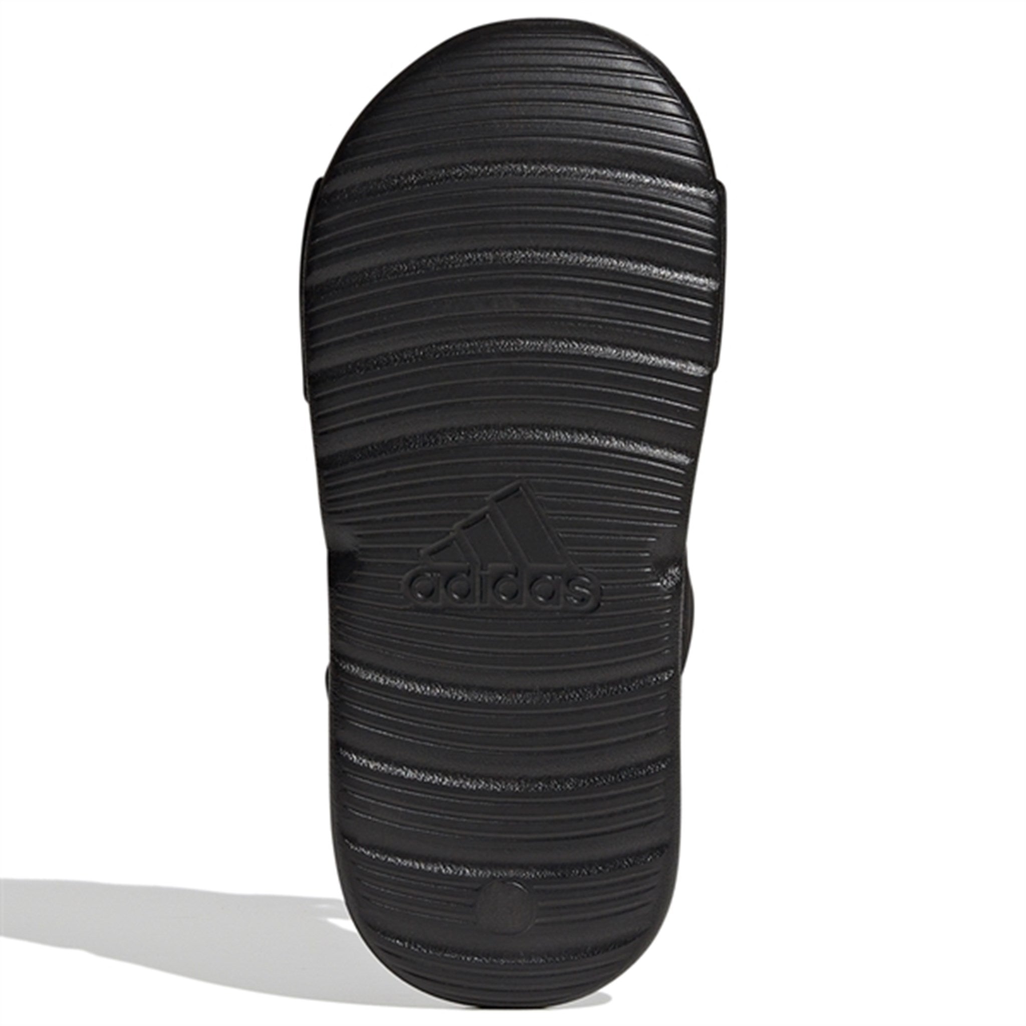 adidas Originals Altaswim Sandals Core Black / Cloud White / Grey Six 8