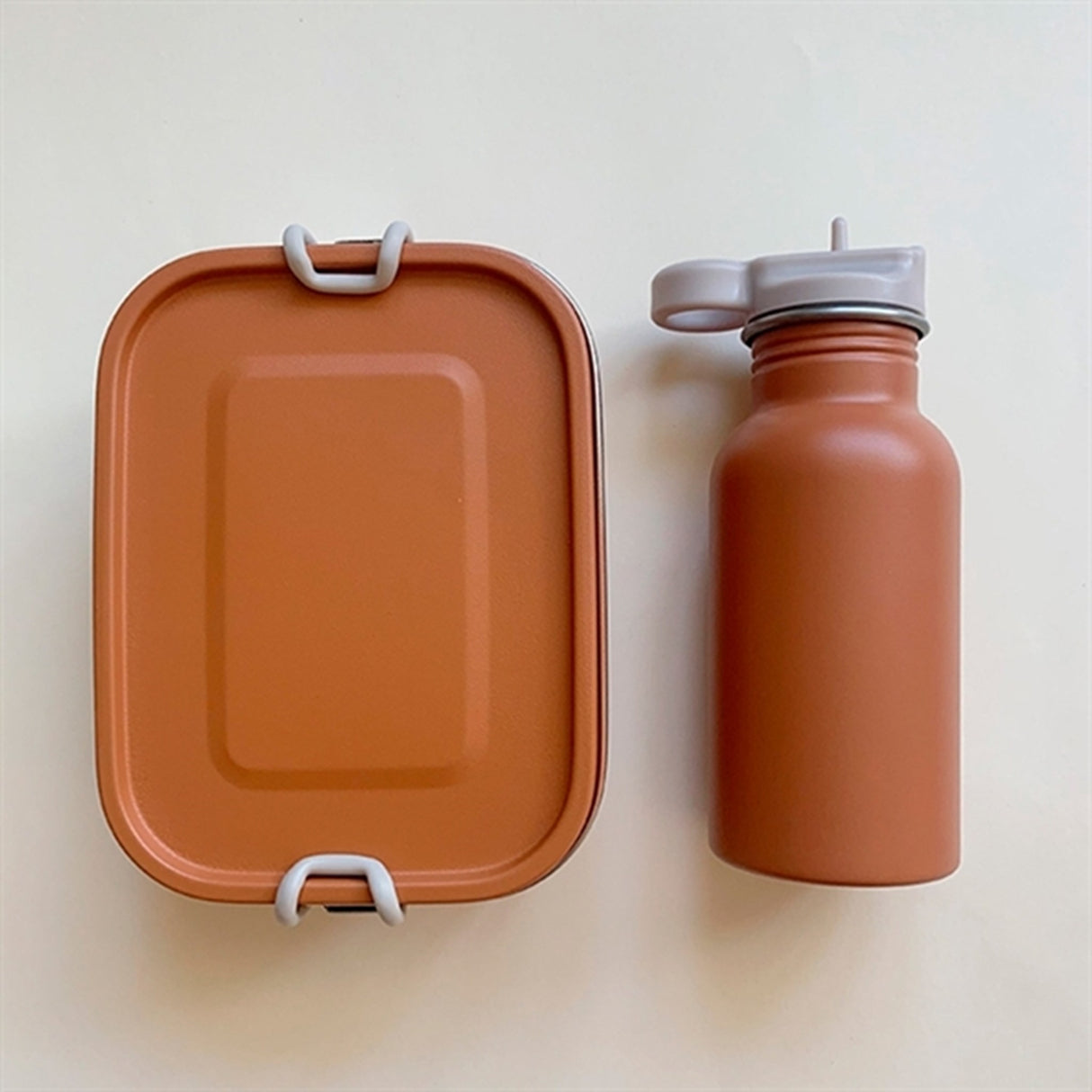 Haps Nordic Lunch Box with Removable Divider Terracotta
