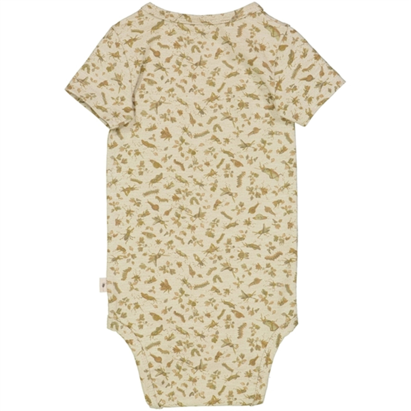 Wheat Fossil Insects Plain Body