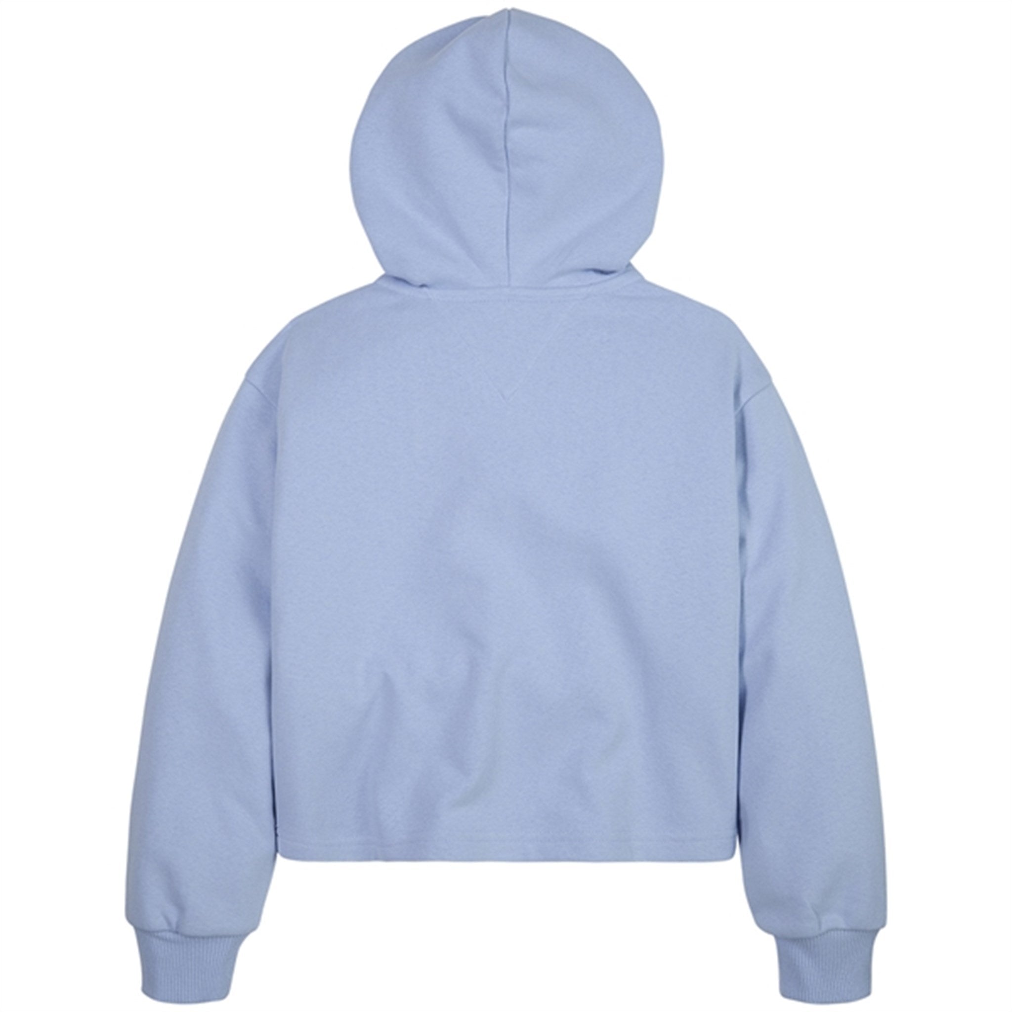 Tommy Hilfiger Timeless Tommy Hoodie Pearly Blue 3