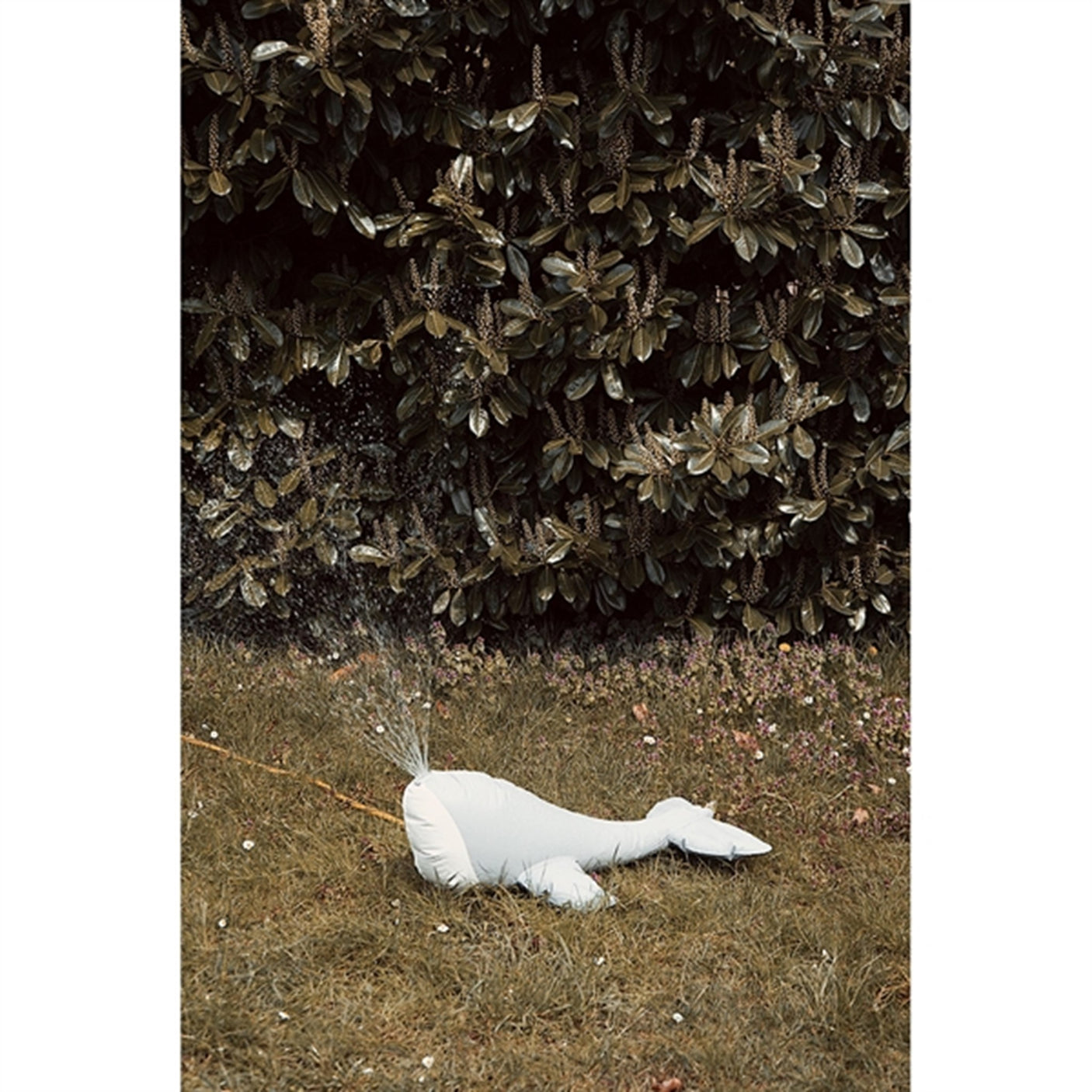 Konges Sløjd Sprinkler Whale