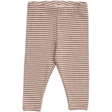 Serendipity Acorn/Offwhite Baby Leggings Stripe