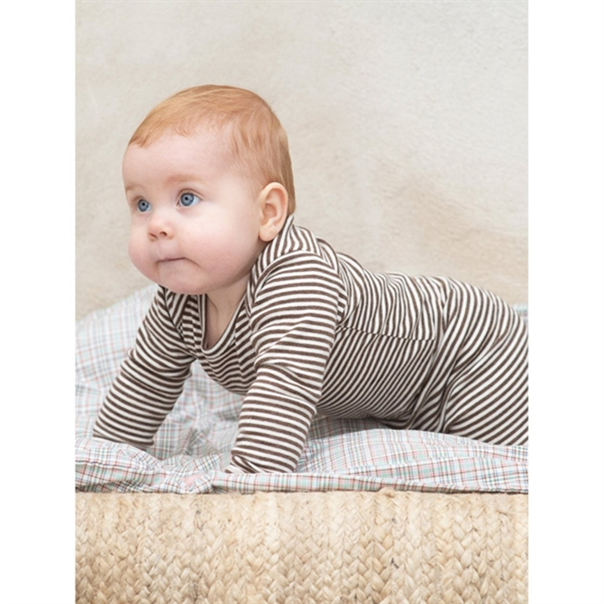 Serendipity Chestnut/Offwhite Baby Body Stripe