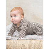 Serendipity Chestnut/Offwhite Baby Body Stripe