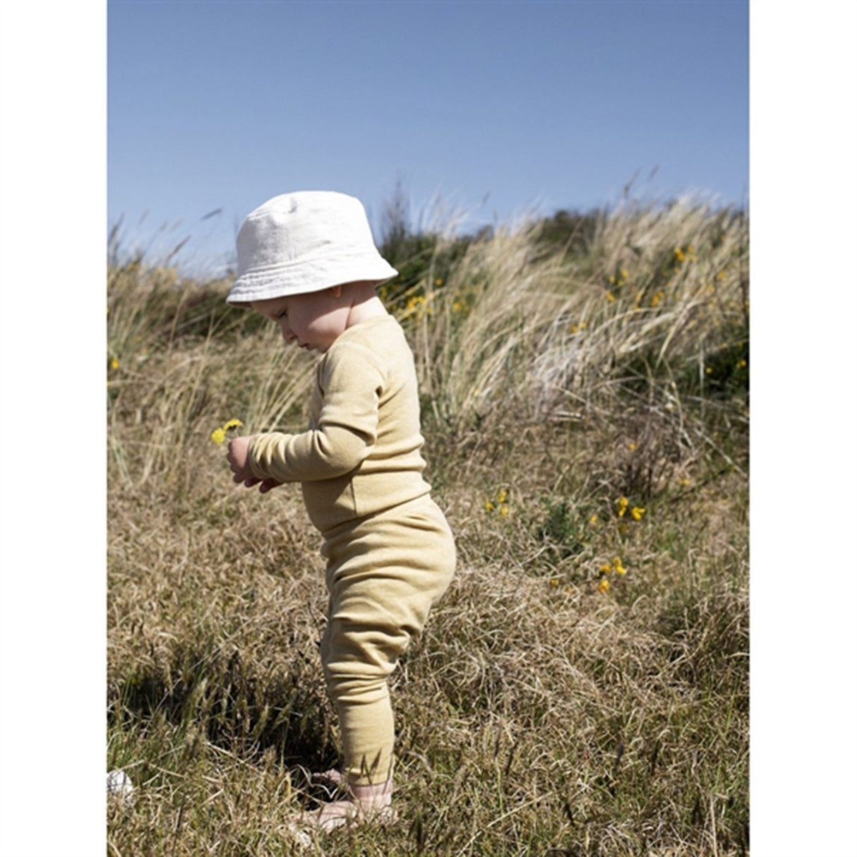 Serendipity Chamomile Baby Leggings