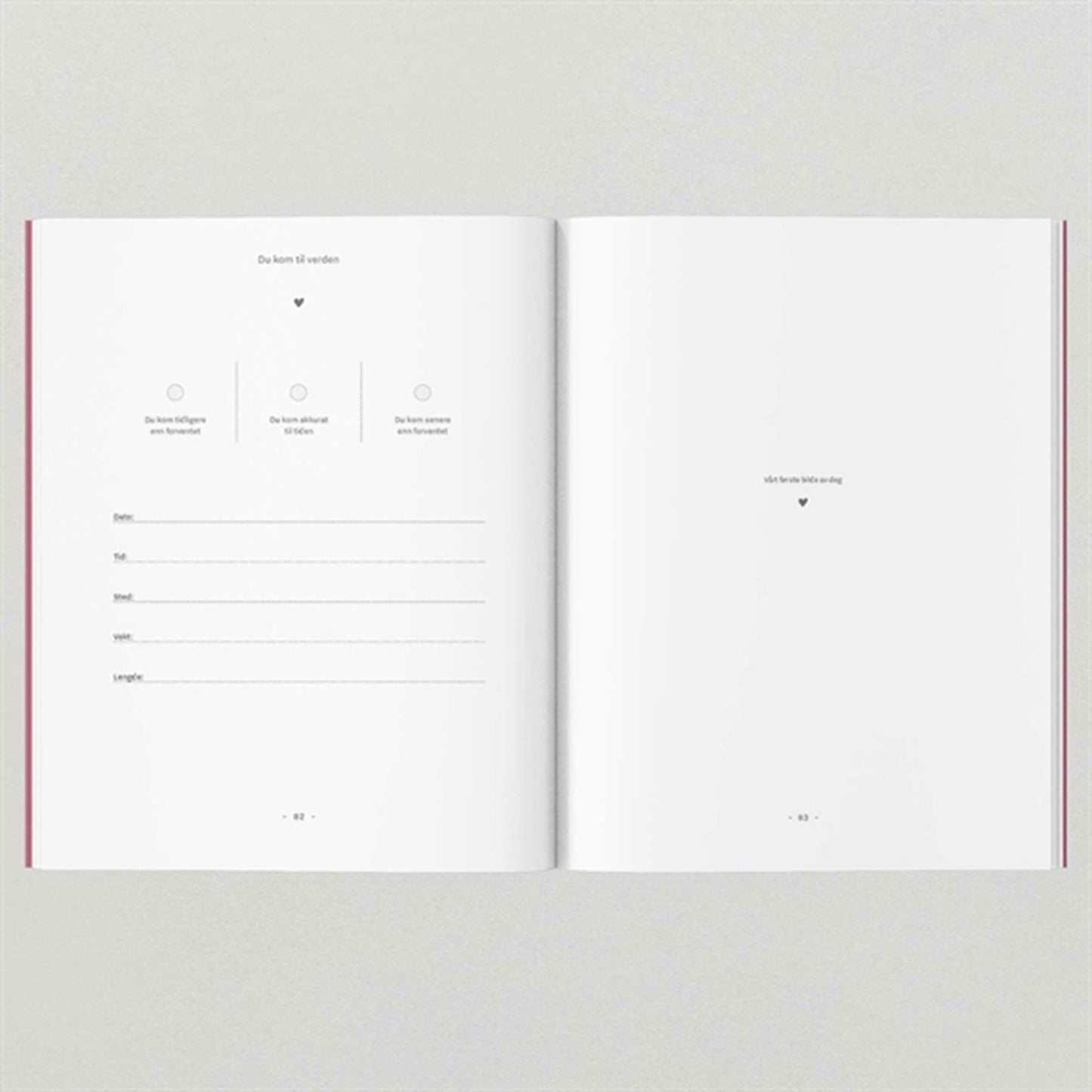 WITHWHITE Graviditetsdagbog A5 Norwegian