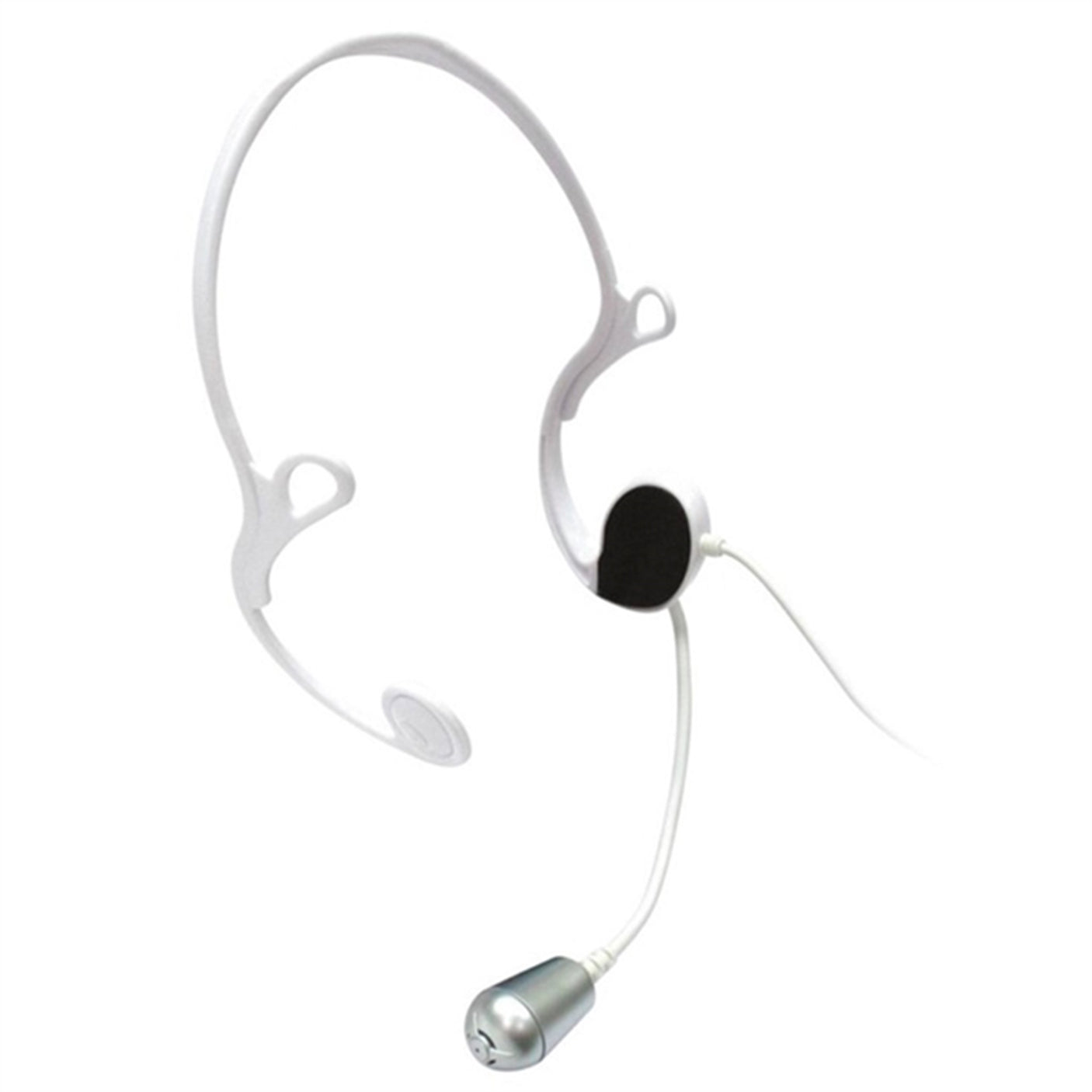 Music Duet Disco Microphone