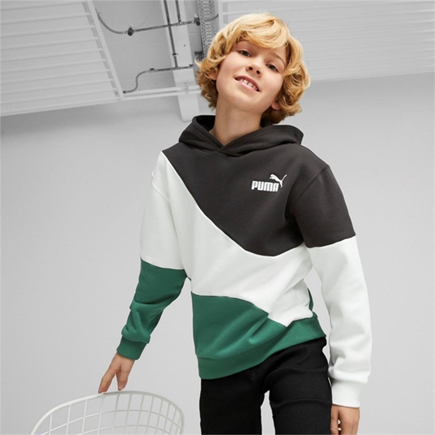 Puma Power Cat Hoodie FL Vine