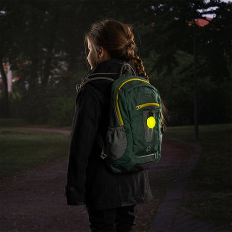 REER Safety Reflex