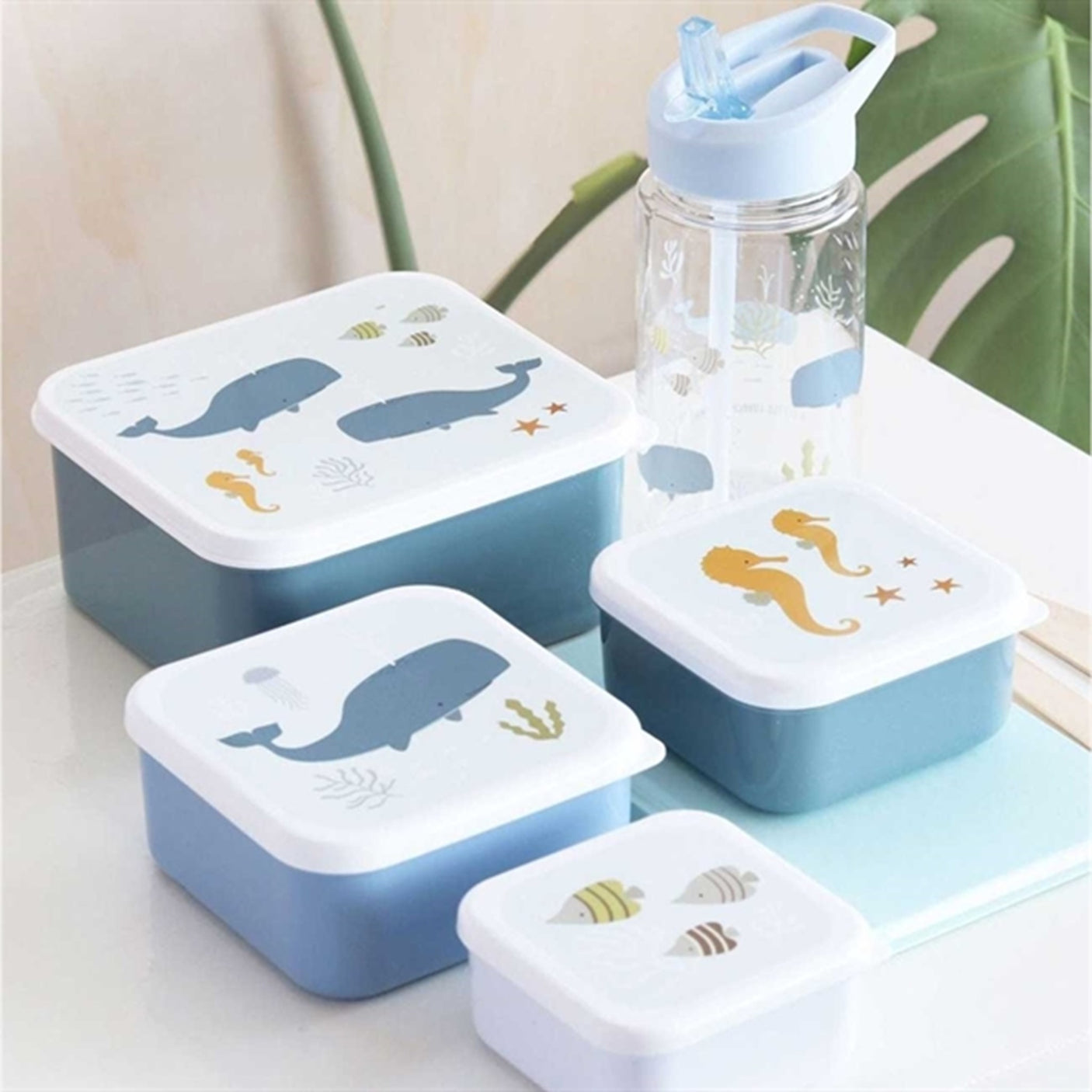 A Little Lovely Company Lunch And Snackbox Ocean