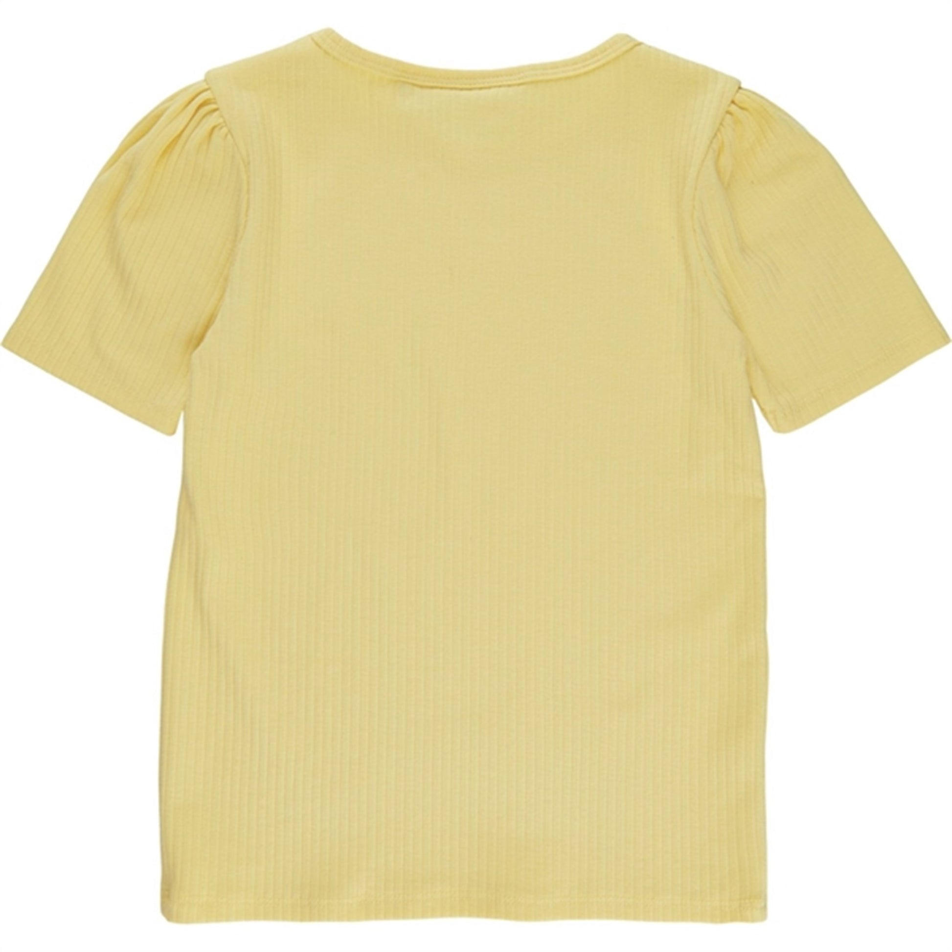 Soft Gallery Popcorn Puff Wide Rib Bella T-shirt 2