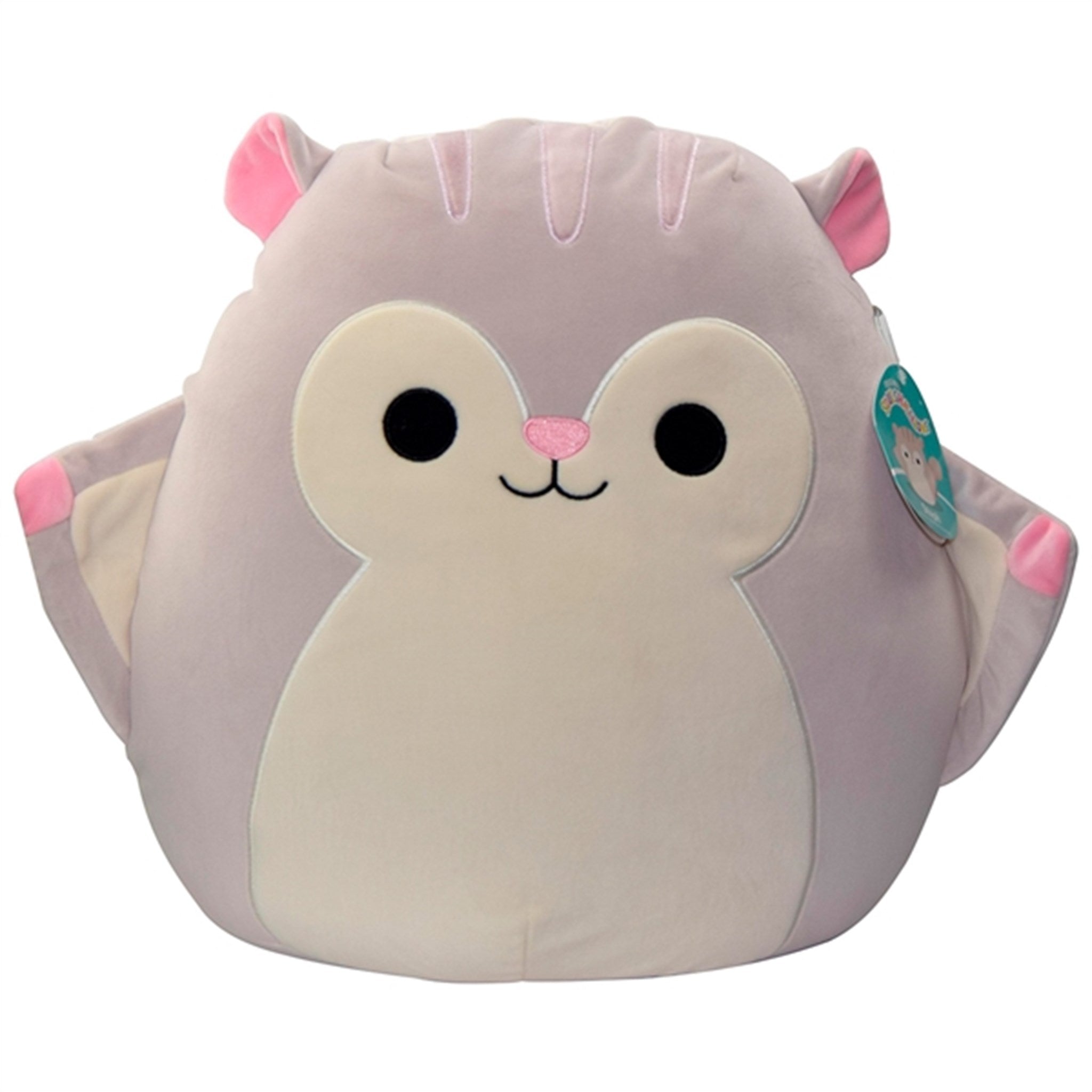 Squishmallows Steph the Flying Squirrel 40 cm P15