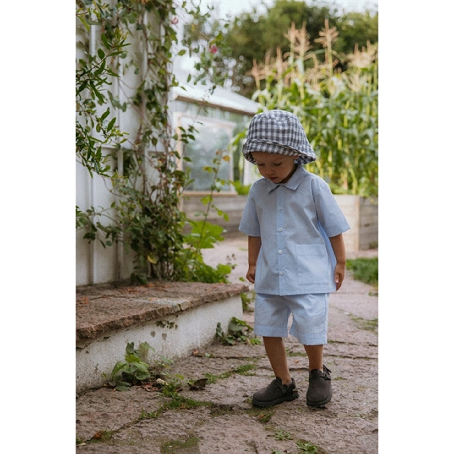 lalaby Sky Wilder Shorts