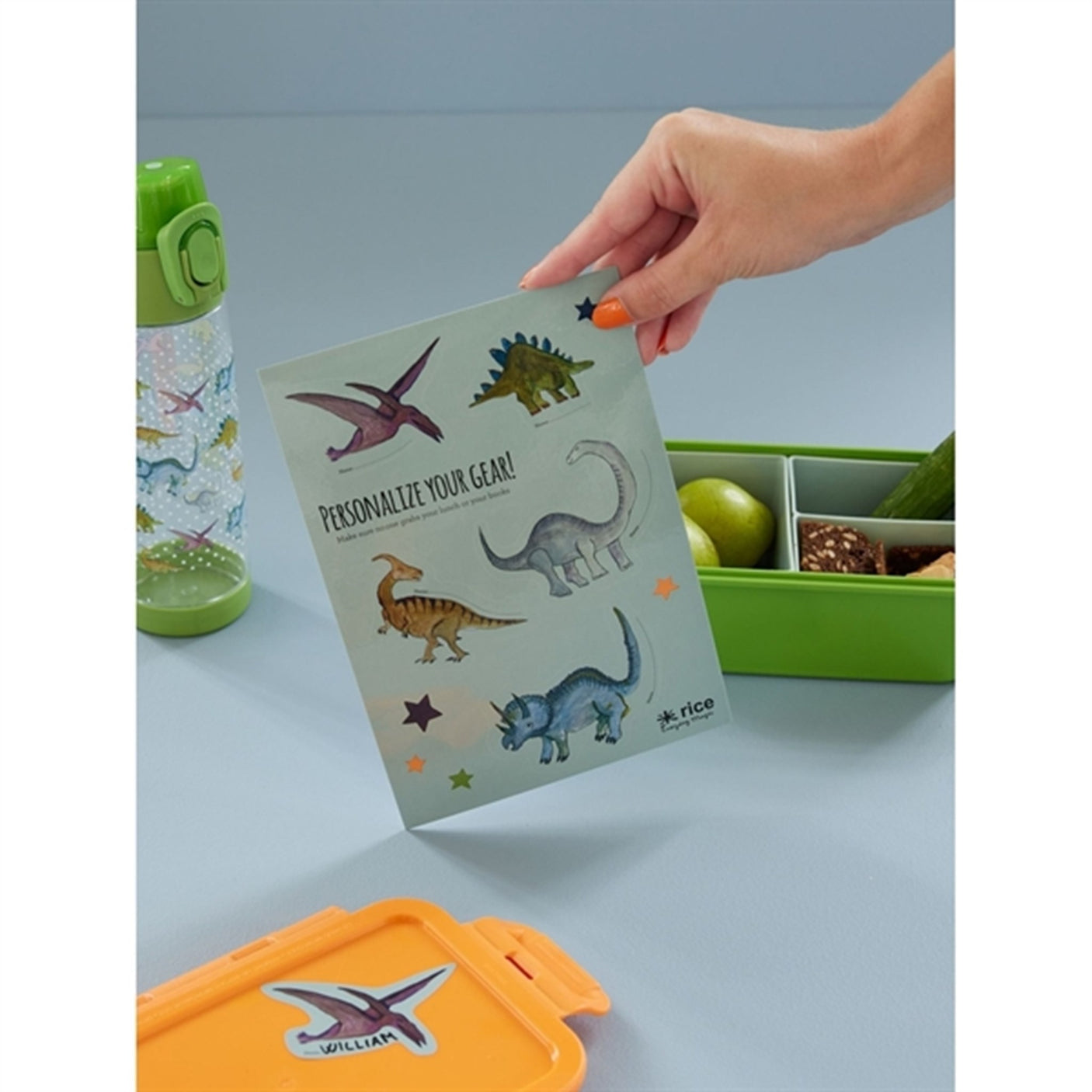 RICE Dinosaur Theme Stickers for Lunchbox