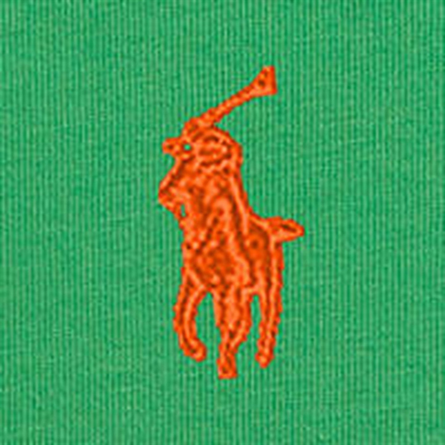 Ralph Lauren Baby T-Shirt Preppy Green