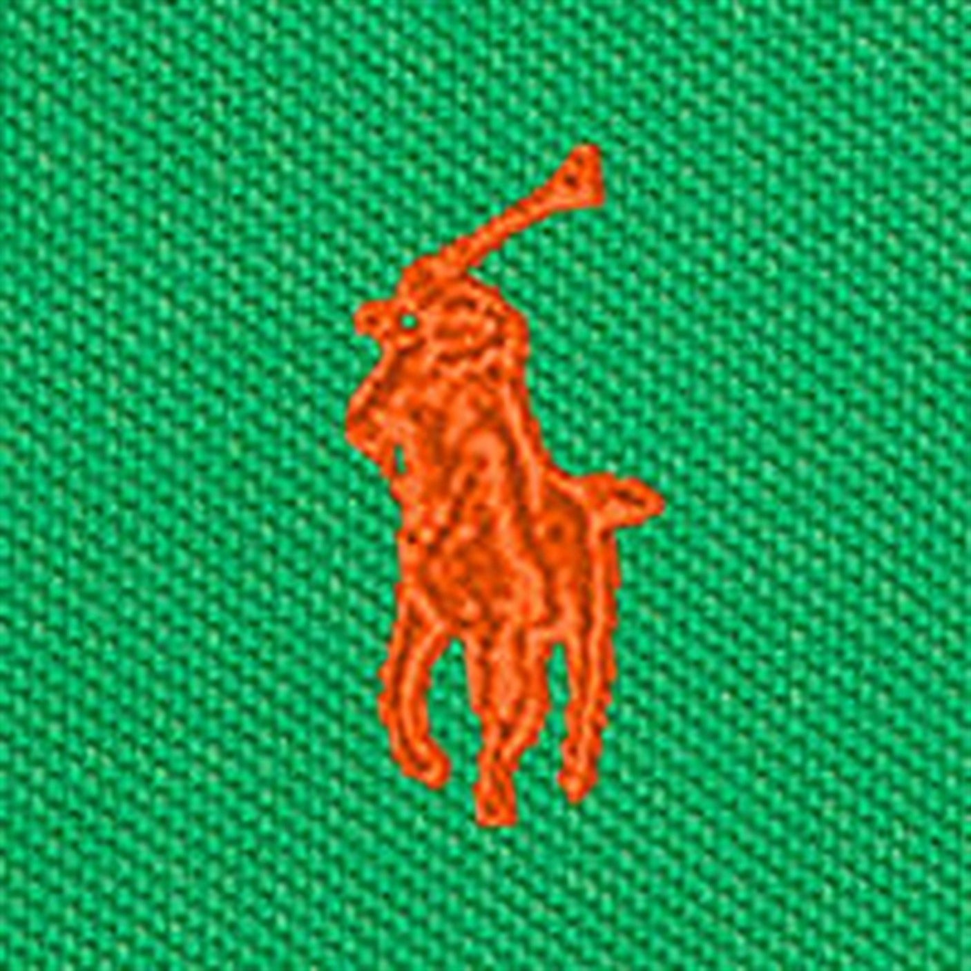 Polo Ralph Lauren Boys Polo Preppy Green