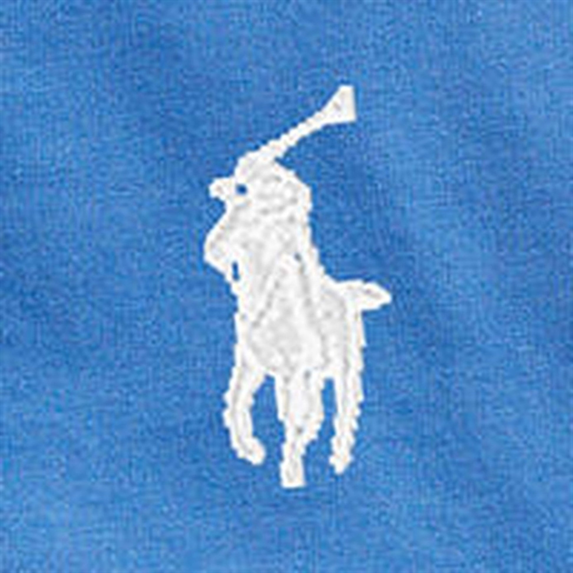 Polo Ralph Lauren Boys T-Shirt Liberty Blue