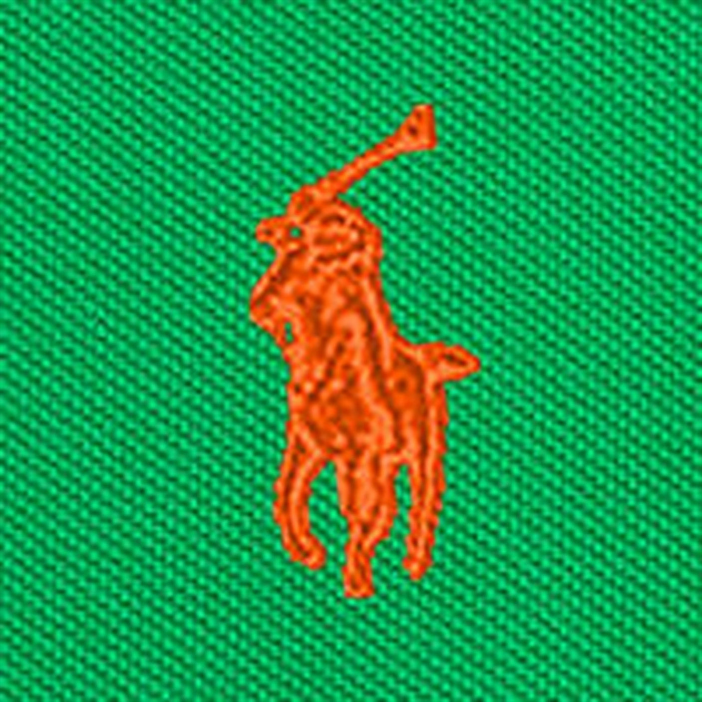 Polo Ralph Lauren Boys Polo Preppy Green