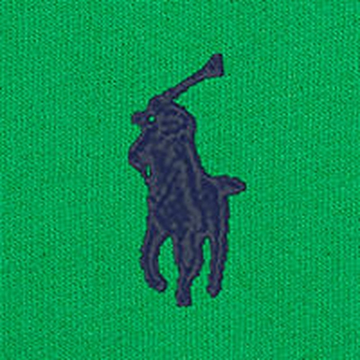 Polo Ralph Lauren Boys Sweatshirt Preppy Green