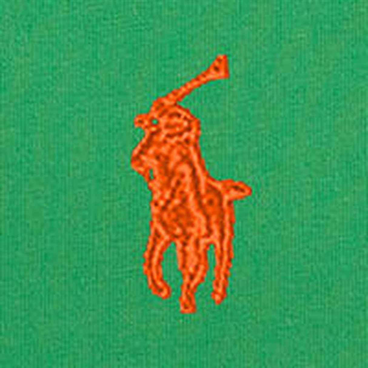 Polo Ralph Lauren Boys T-Shirt Preppy Green