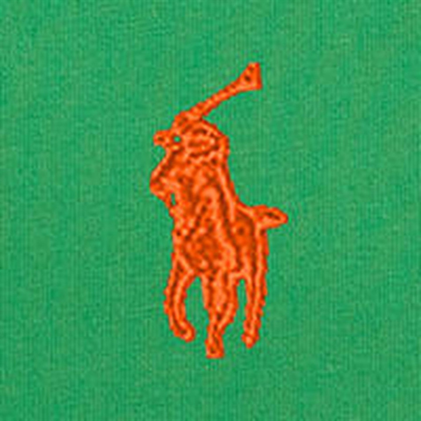 Polo Ralph Lauren Boys T-Shirt Preppy Green