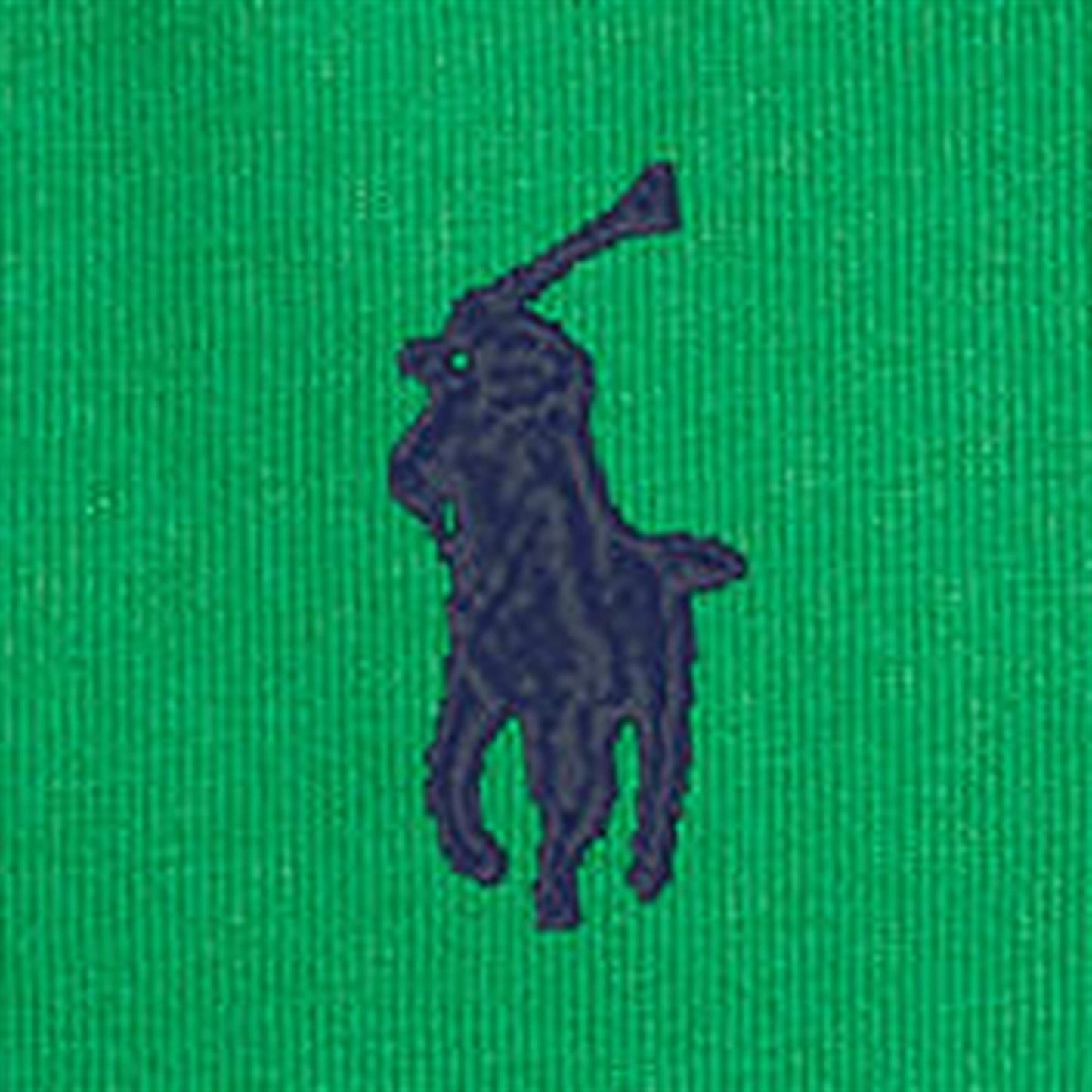 Polo Ralph Lauren Boys T-Shirt Preppy Green