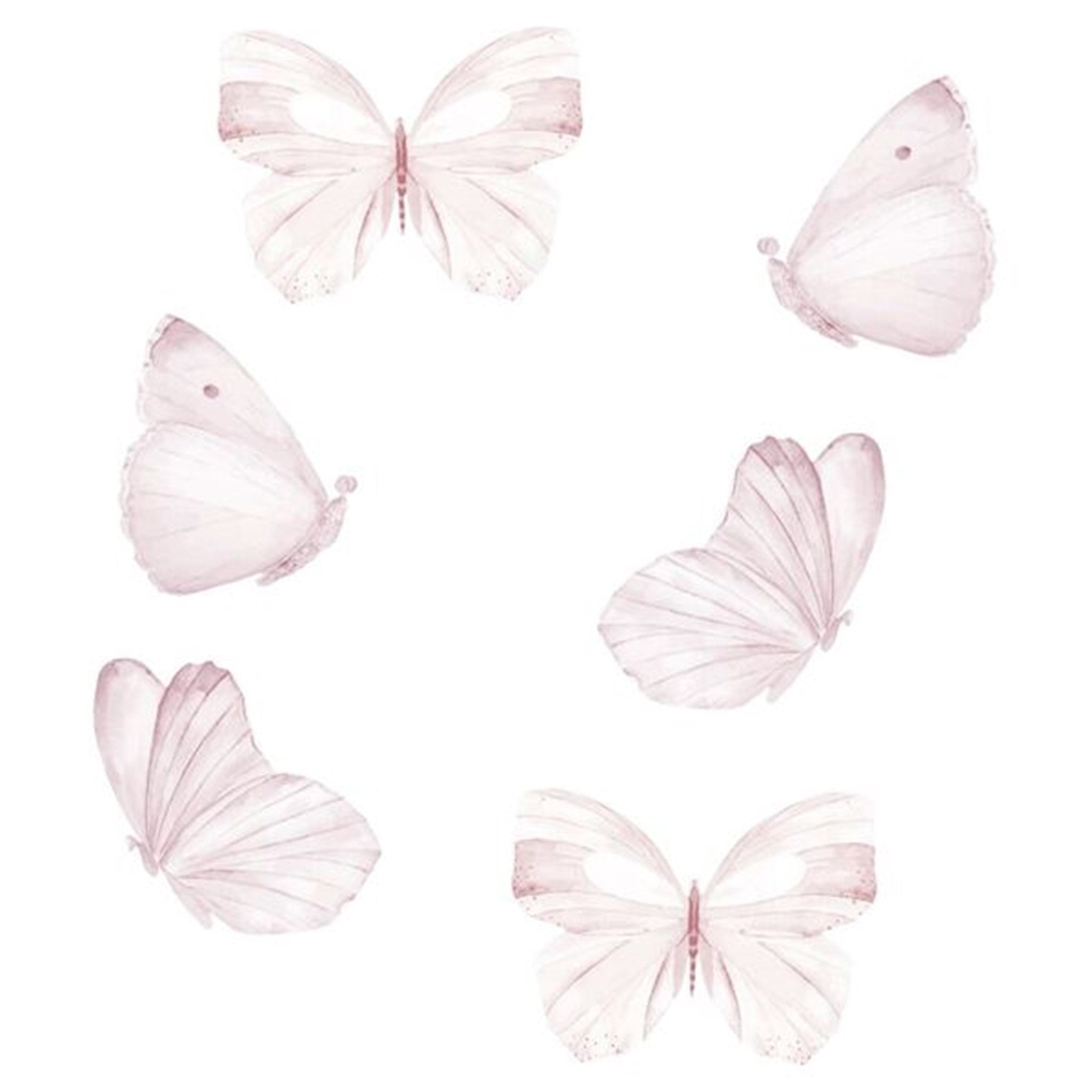That's Mine Wall Stories Butterflies White