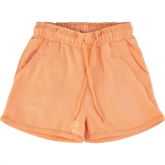 THE NEW Apricot Nectar Gia Sweatshorts