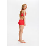 The New Geranium Jillian Bikini
