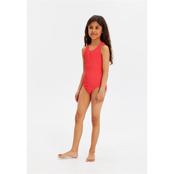 The New Geranium Jillian Swimsuit