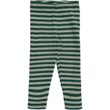 THE NEW Siblings Green Gables Finn Rib Leggings