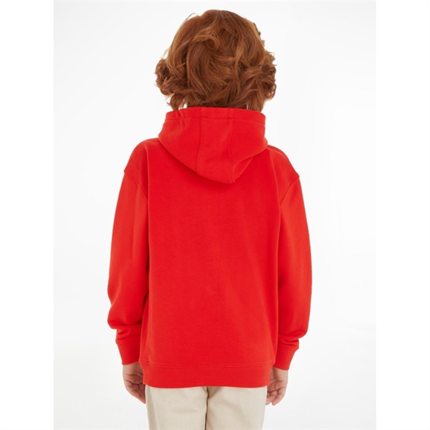 Tommy Hilfiger Flag Hoodie Fireworks