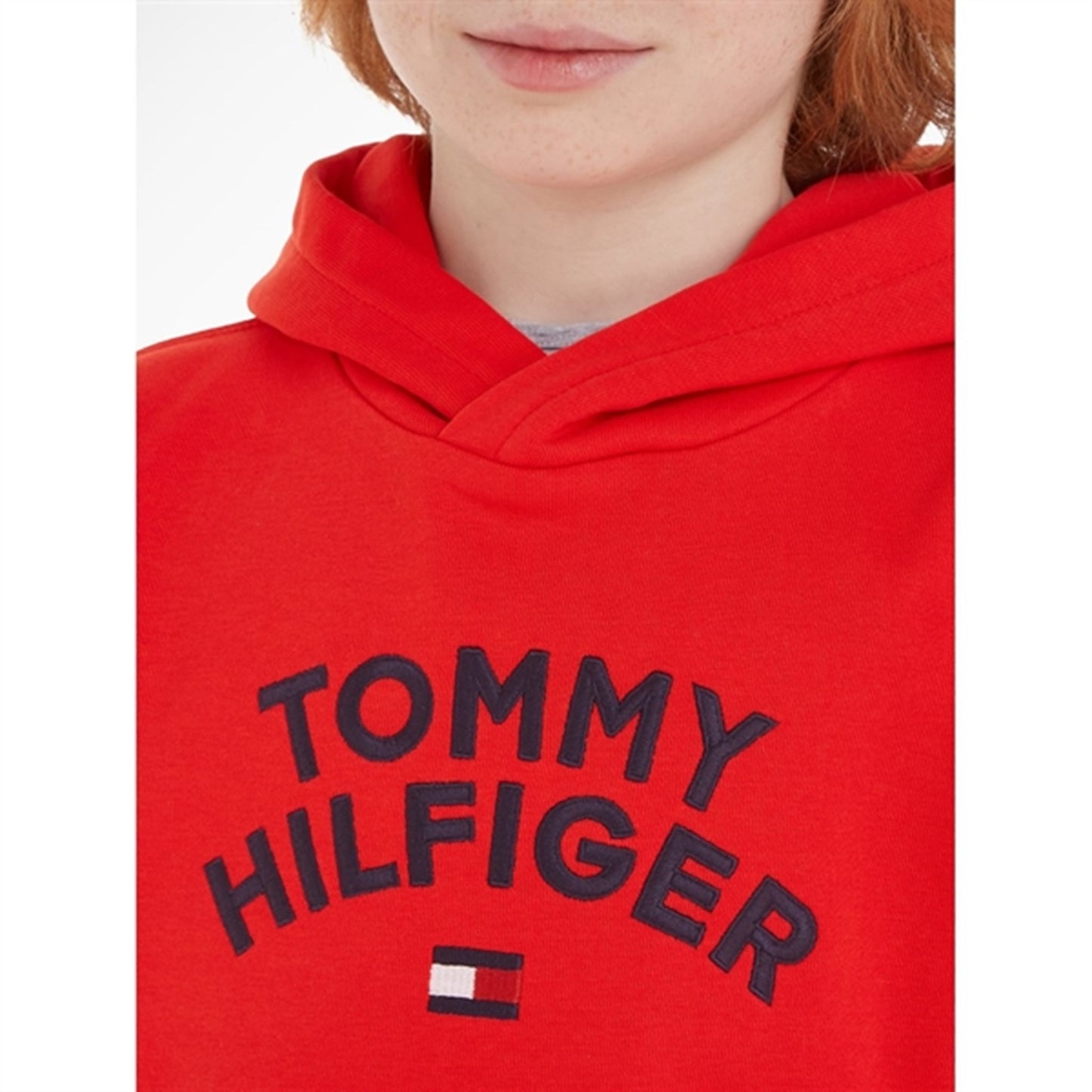 Tommy Hilfiger Flag Hoodie Fireworks