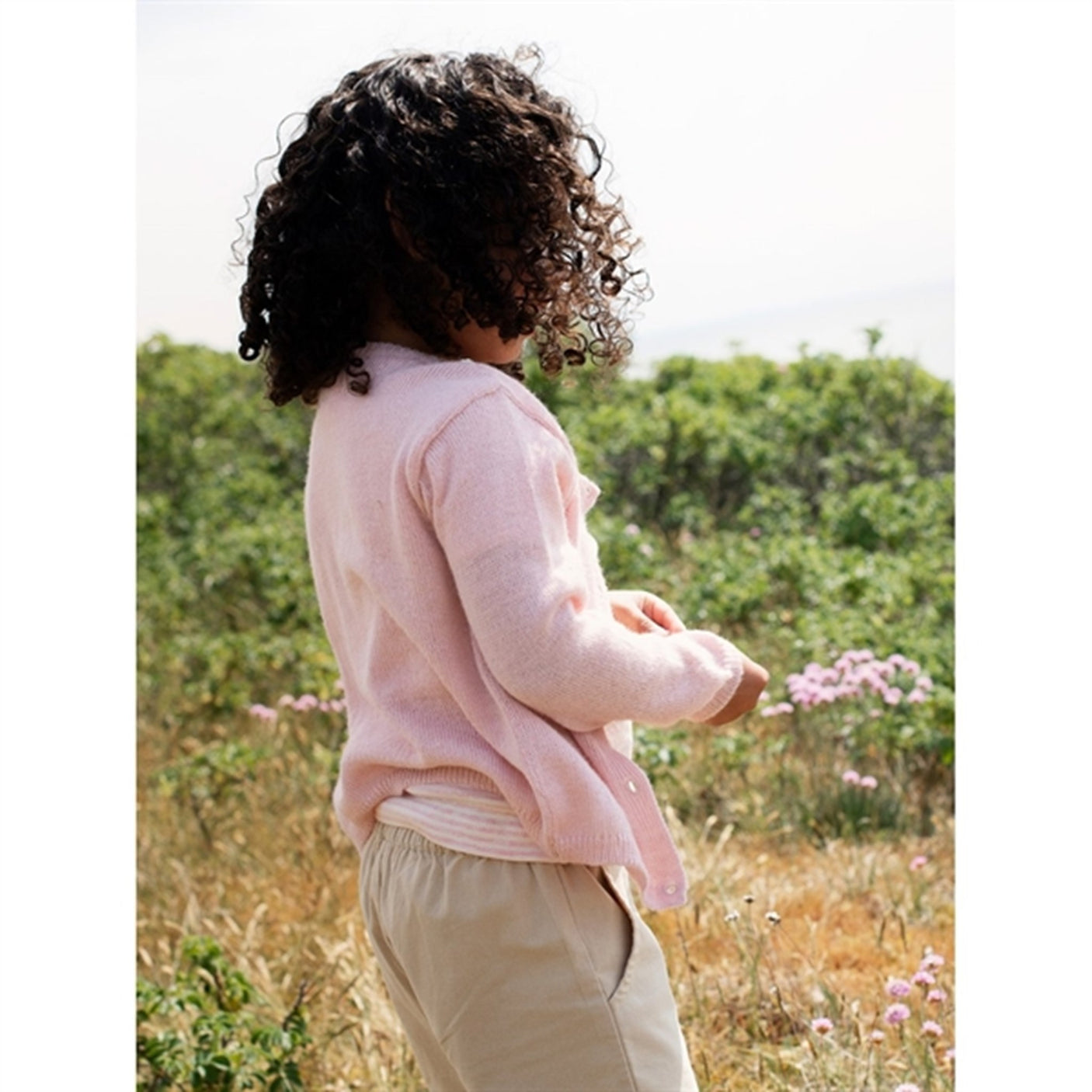 Serendipity Safari Shorts